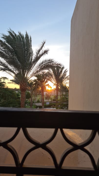 Ausblick JAZ Neo Saraya Palms