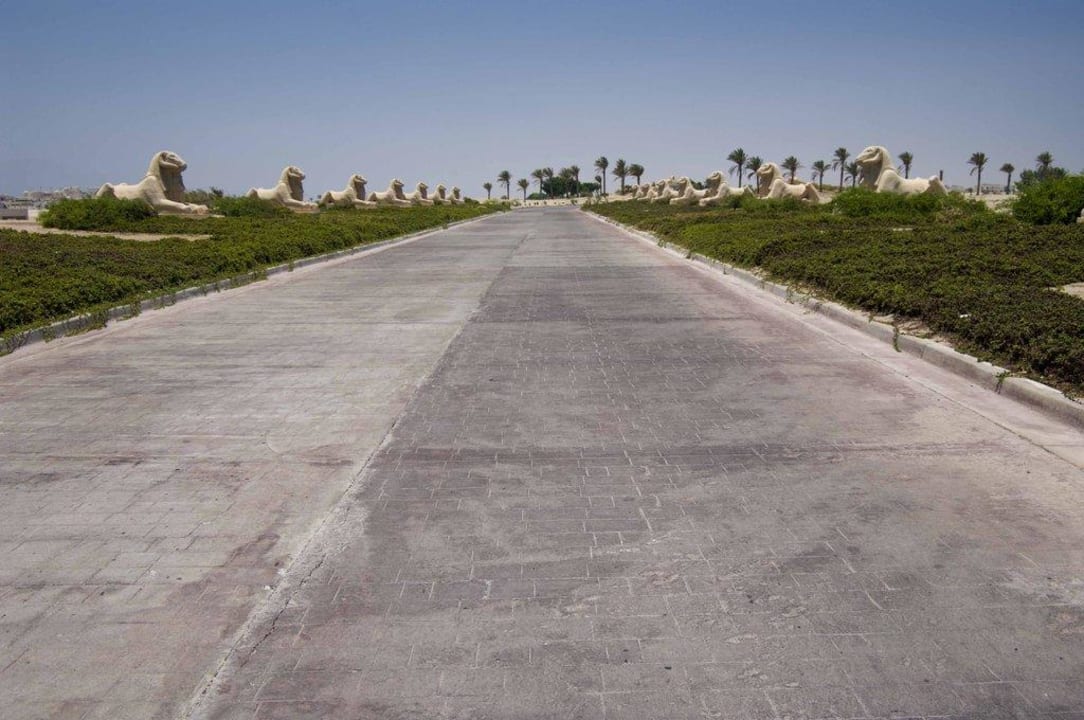 Straße zum Hotel Hotel Sheraton Soma Bay Resort