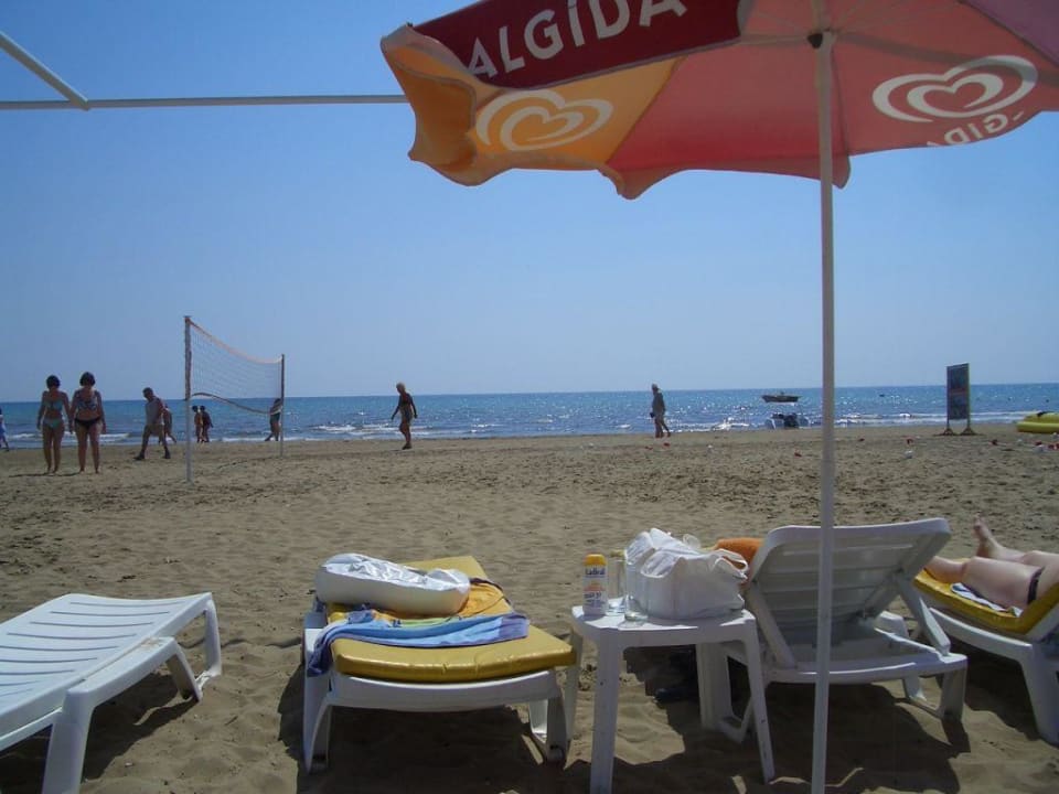 Blick von meiner Strandliege Side Alegria Hotel & Spa - Adults only +16
