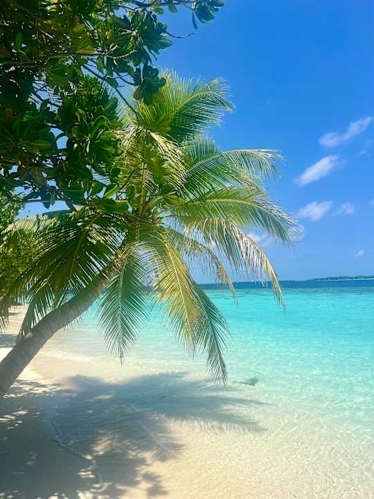 Strand Vilamendhoo Island Resort & Spa