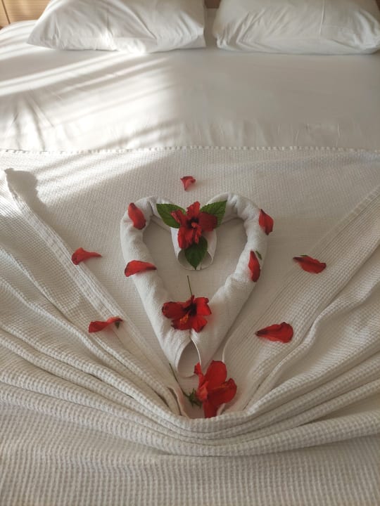 Zimmer Hotel Royal Garden Beach