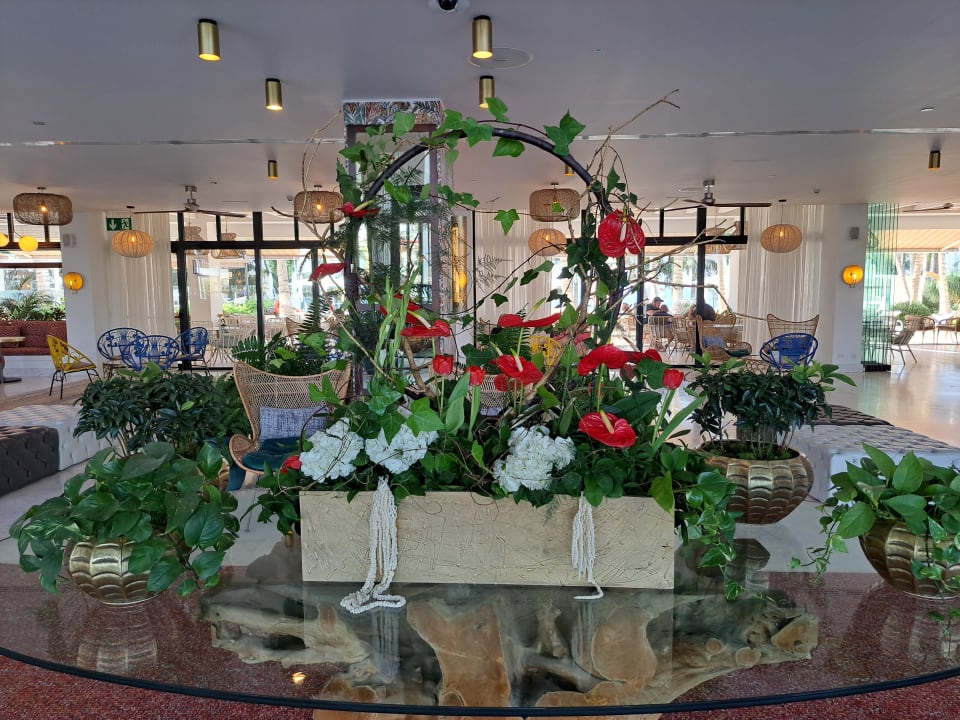 Lobby Hotel Fariones