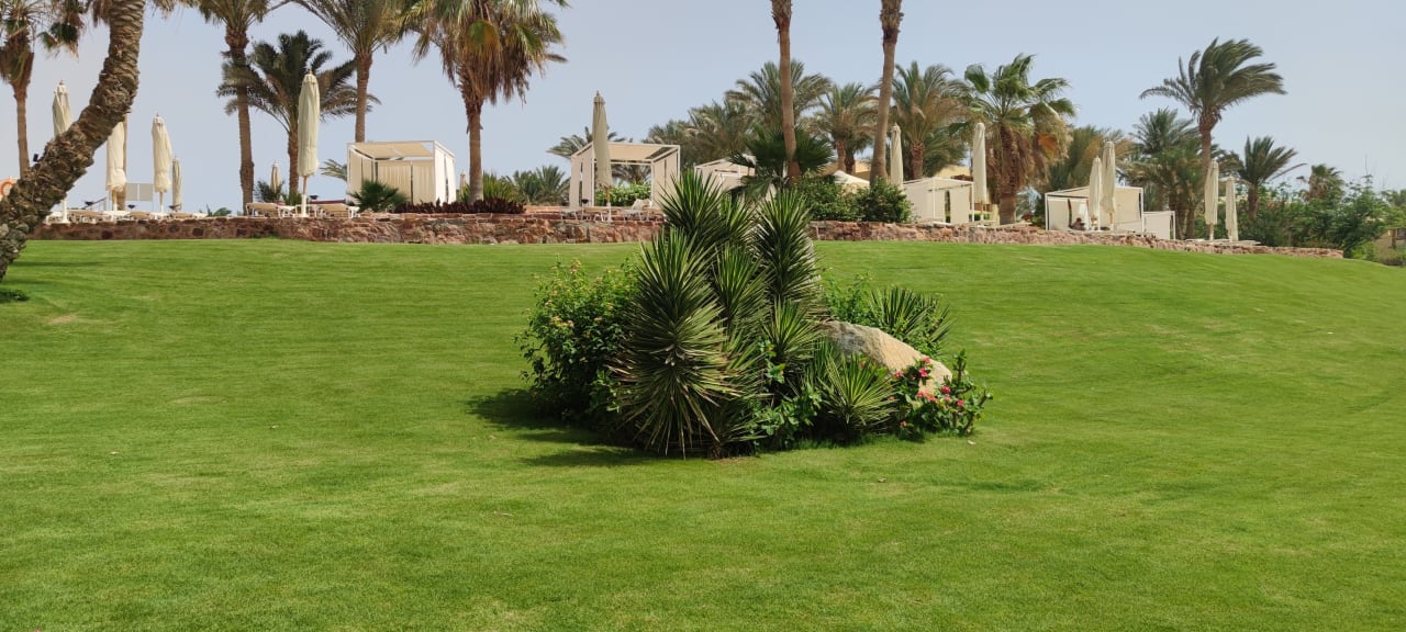 Gartenanlage Steigenberger Coraya Beach - Adults only