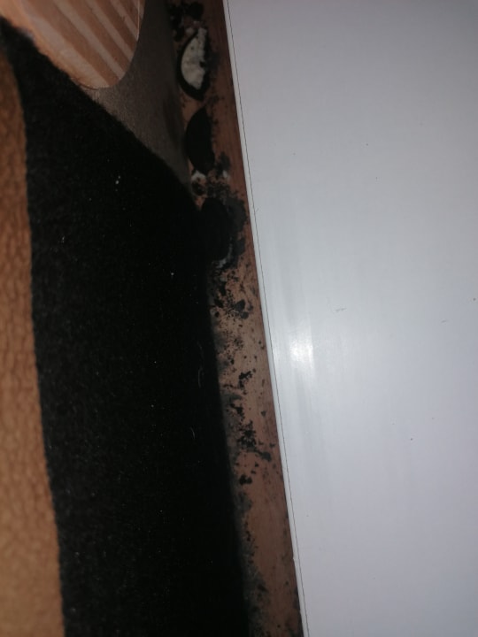 Zimmer Ferienwohnungen Ferienpark Weissenhäuser Strand