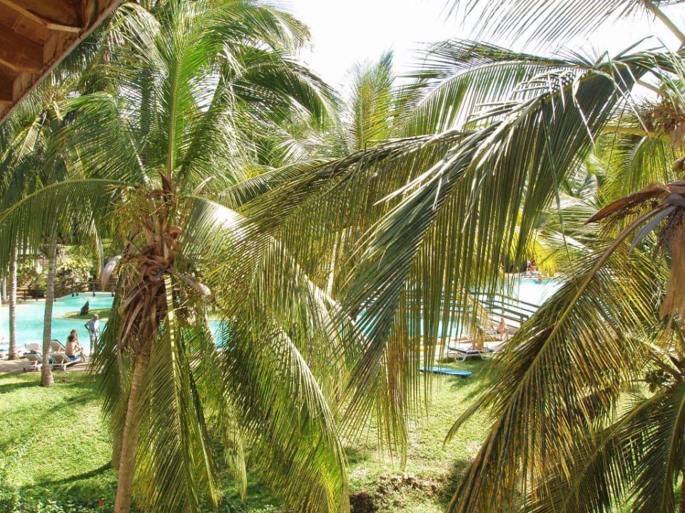 Blick Richtung Pool PrideInn Flamingo Beach Resort & Spa