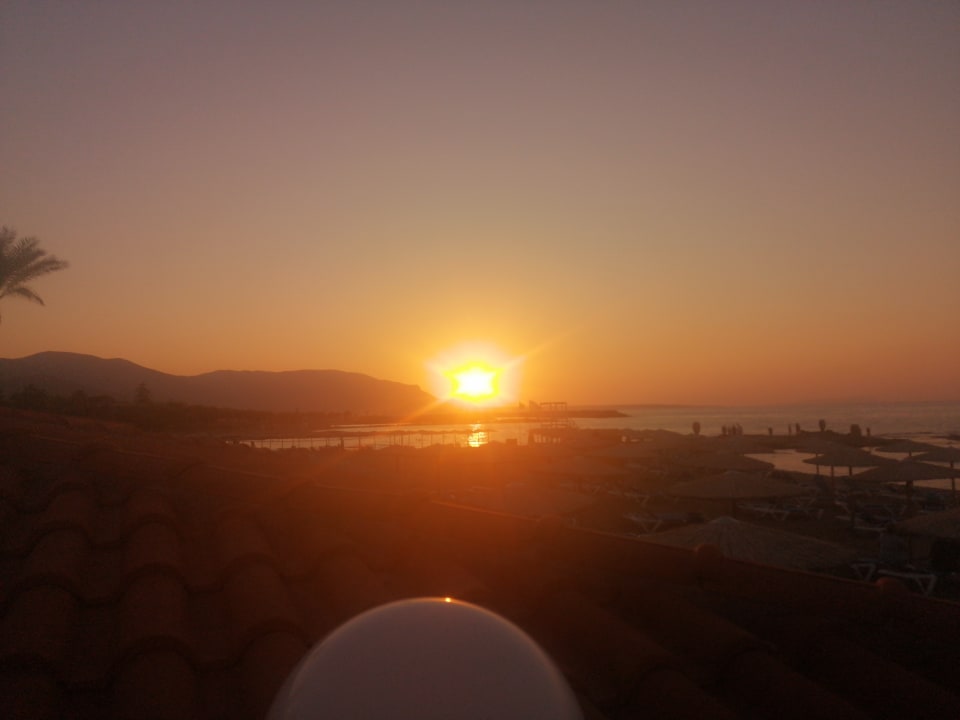 Ausblick allsun Hotel Carolina Mare