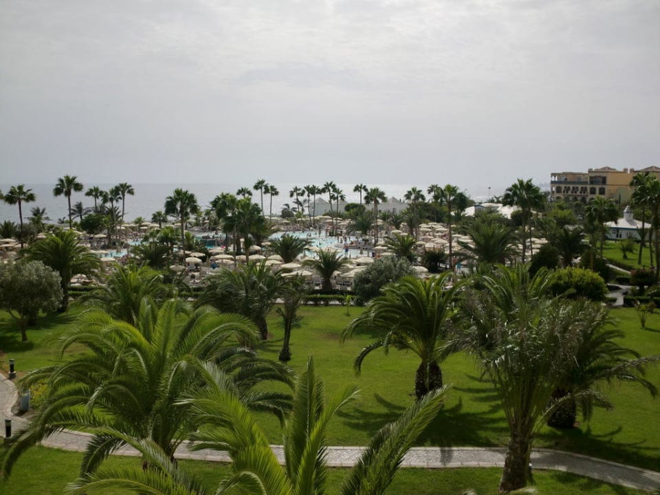 Garten Hotel Riu Gran Canaria