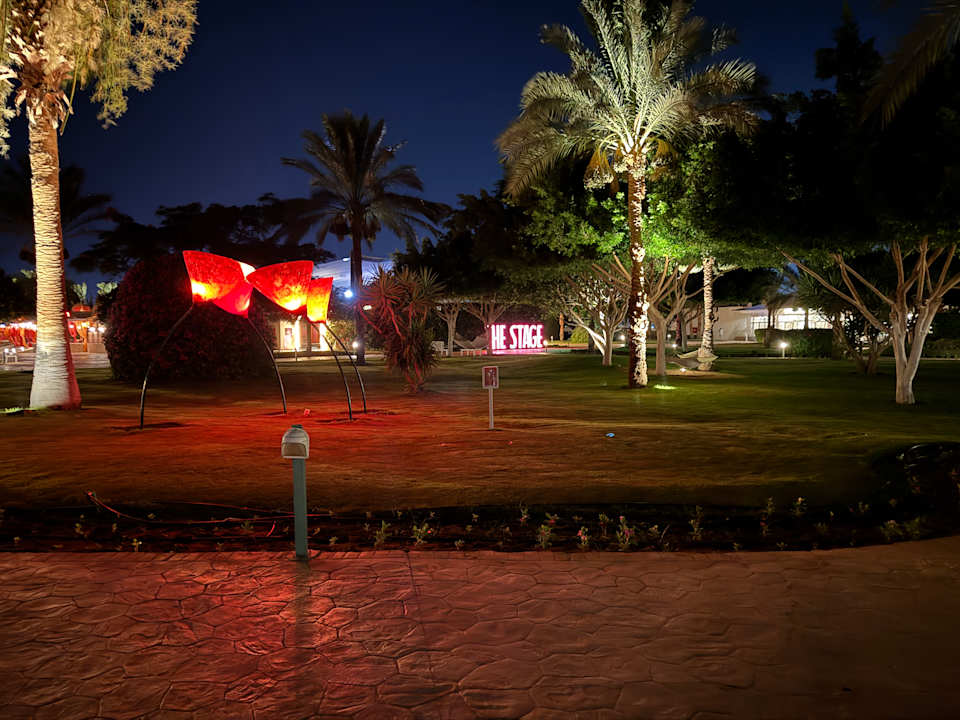 Außenansicht Desert Rose