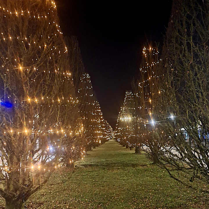 Sonstiges Johannesbad Hotel Königshof