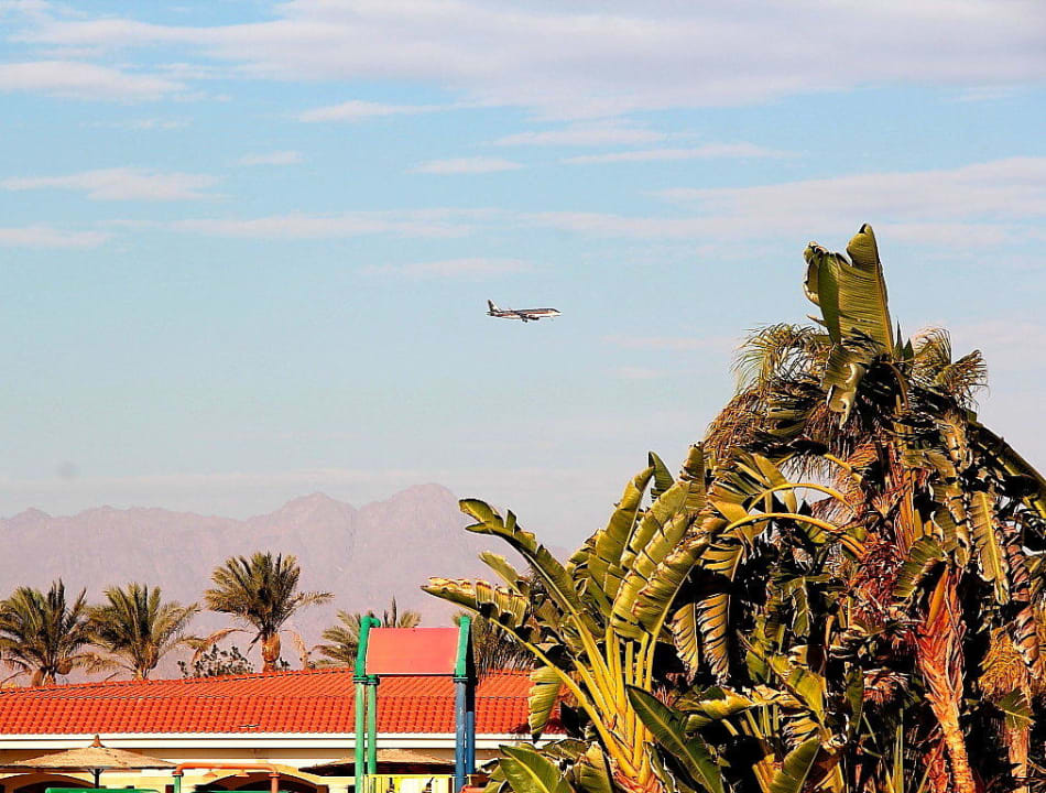 59 Pickalbatros Golf Beach Resort