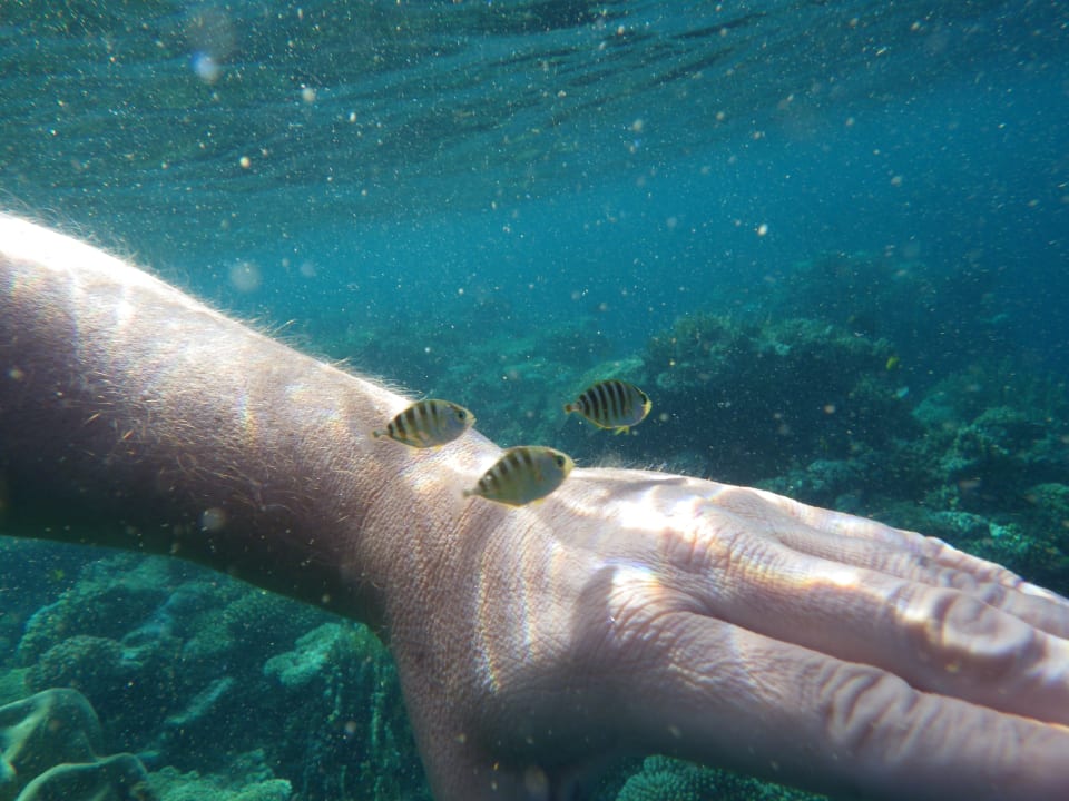 Strand Bliss Nada Beach Resort