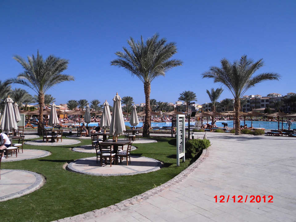 Terrasse der Poolbar Pickalbatros Dana Beach Resort - Hurghada