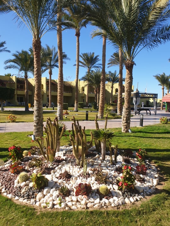 Gartenanlage Palm Beach Resort