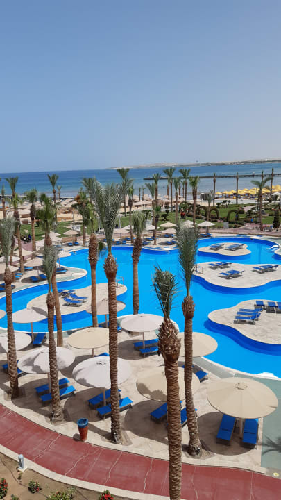 Pool Pickalbatros Palace Resort