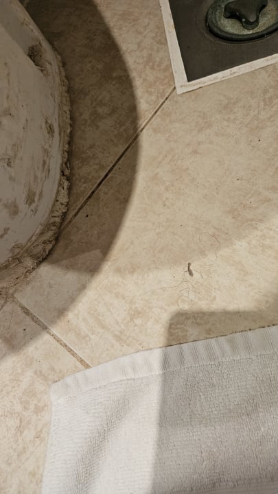 Zimmer Imperial Shams Abu Soma