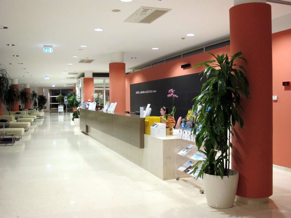 Rezeption Hotel Albatros Plava Laguna