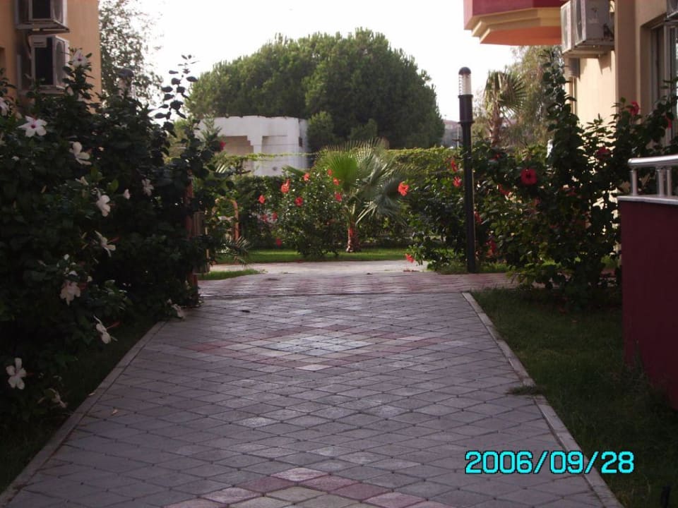 Das ist der Weg zu den einzelnen Häusern Hotel Orfeus Park