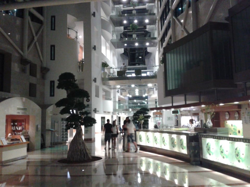 Lobby Paloma Sencia