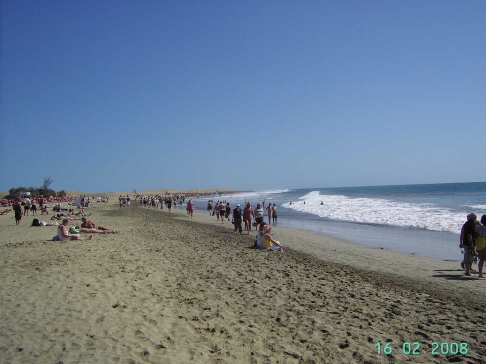 Der Breiter Strand Seaside Hotel Palm Beach