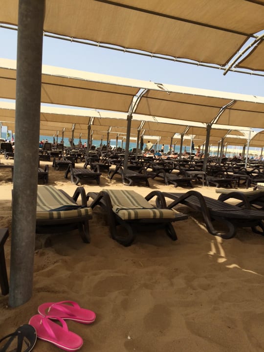 Strand früh morgens  Aydinbey Kings Palace & Spa