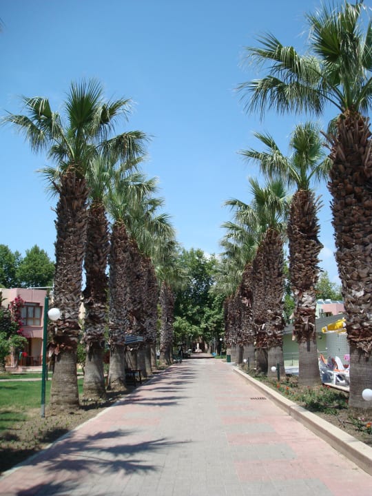 Palmenallee VONRESORT Golden Beach