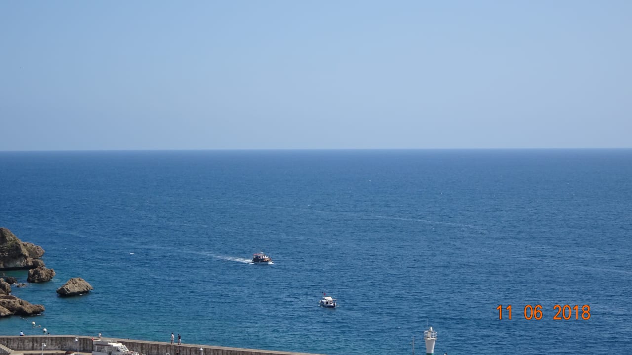 Hamma Papillon Belvil