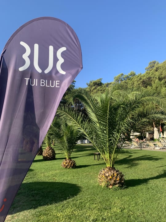 Gartenanlage TUI BLUE Seno - Adults Only