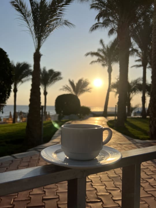 Gastro Serenity Alpha Beach