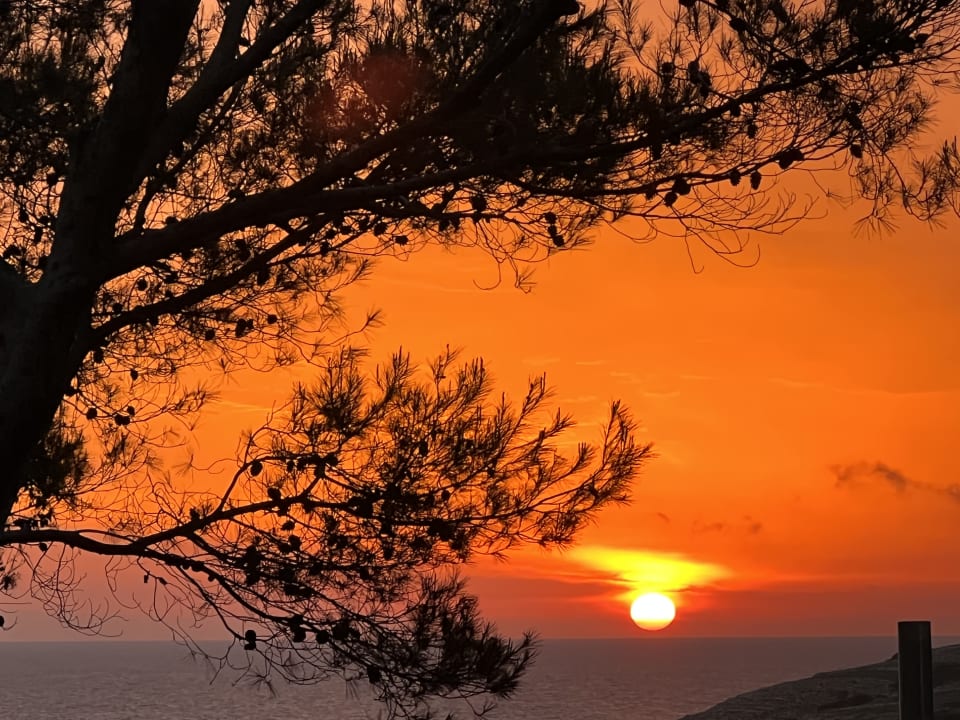 Ausblick VIVA Cala Mesquida Suites & Spa 16+