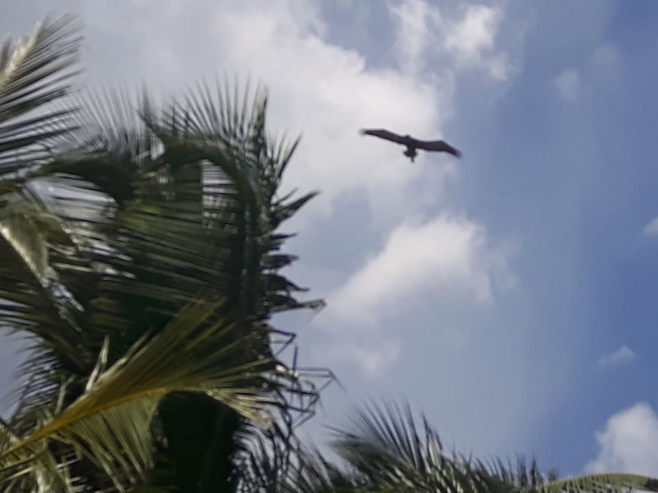 Ausblick Hotel Grand Palladium Palace Resort, Spa & Casino