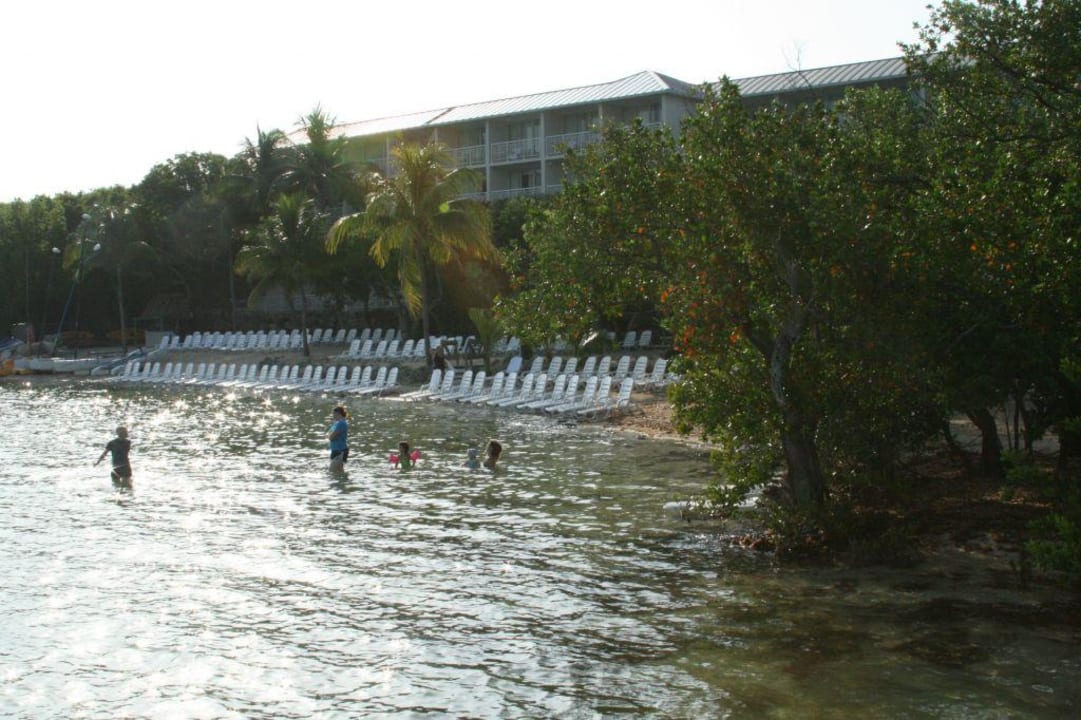 Strand - Badebucht Hotel Hilton Key Largo Grande Resort