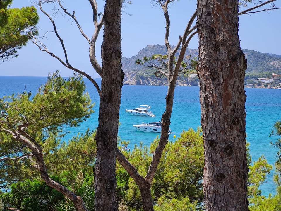 Ausblick Universal Hotel Lido Park & Spa