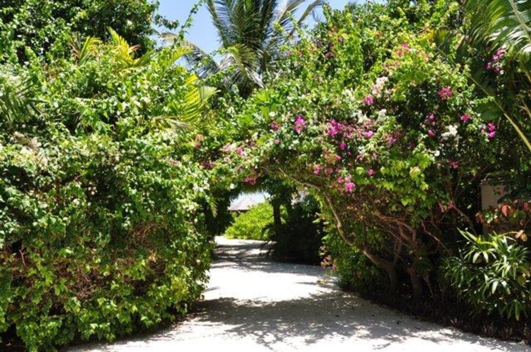 Auf dem Weg zu den Wasservillen Baros Maldives Resort