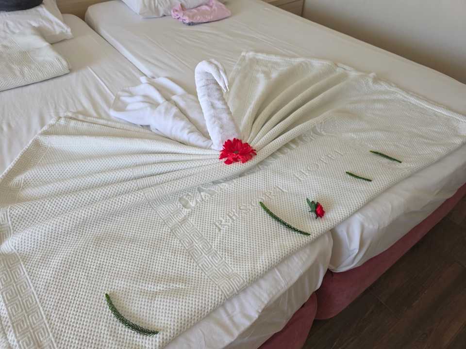 Zimmer Can Garden Resort