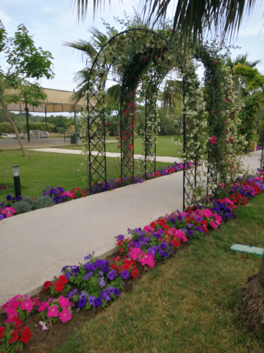 Gartenanlage Hotel Novum Garden Side