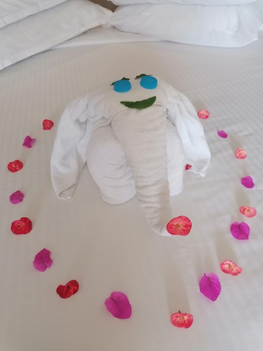 Zimmer Steigenberger Makadi Hotel - Adults only