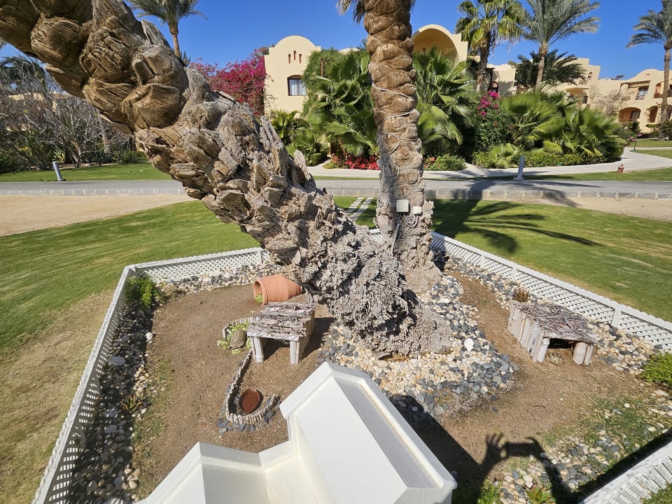 Gartenanlage Steigenberger Coraya Beach - Adults only