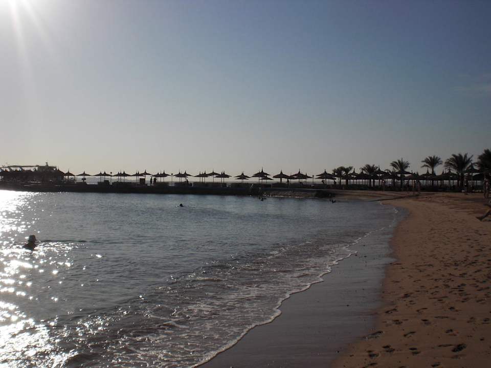 Hotel BEACH Albatros Resort & Spa Beach Albatros Resort