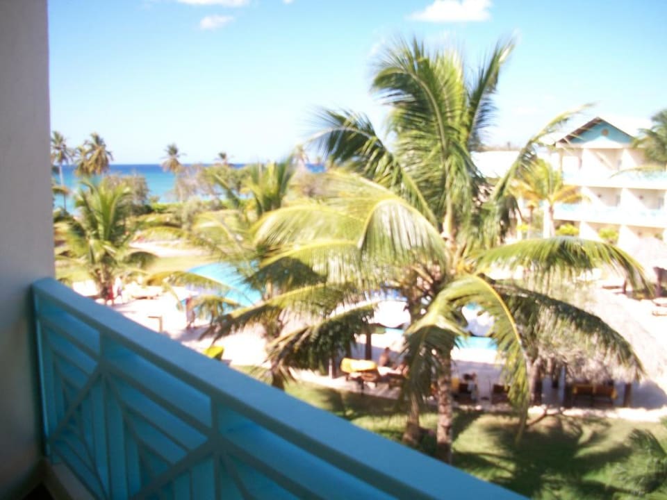 Toller Ausblick Dreams La Romana Resort & Spa