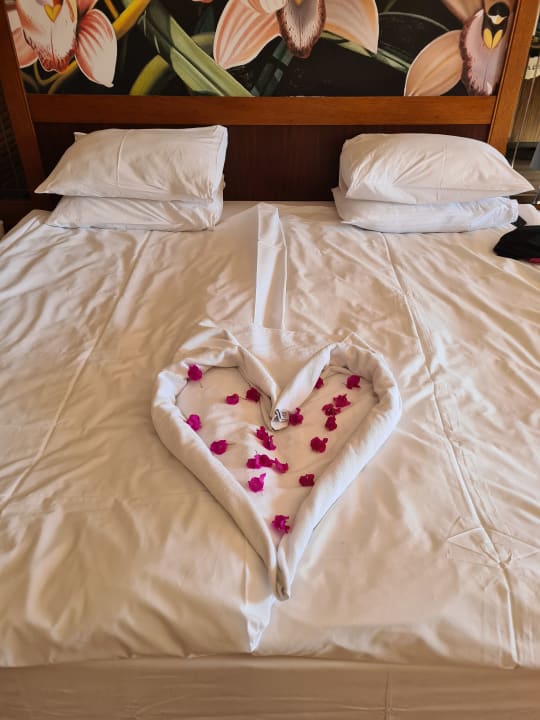 Zimmer Asteria Family Belek