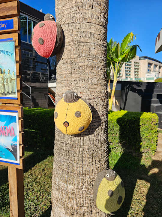 Sonstiges TUI MAGIC LIFE Masmavi