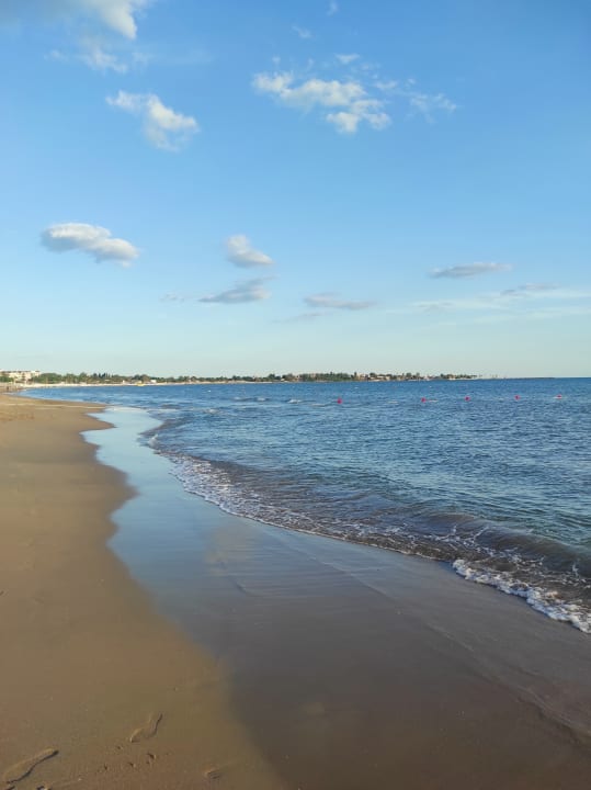 Strand Side Star Elegance