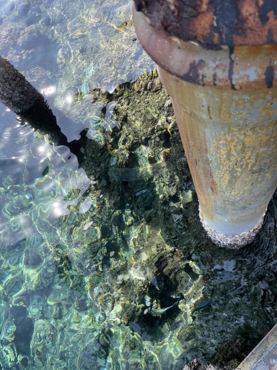 Strand Coral Hills Resorts & SPA