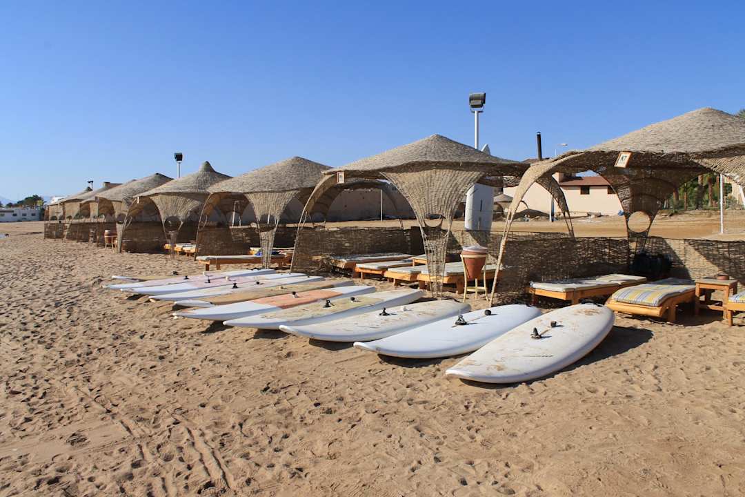 Утренний сон Pickalbatros Palace Resort