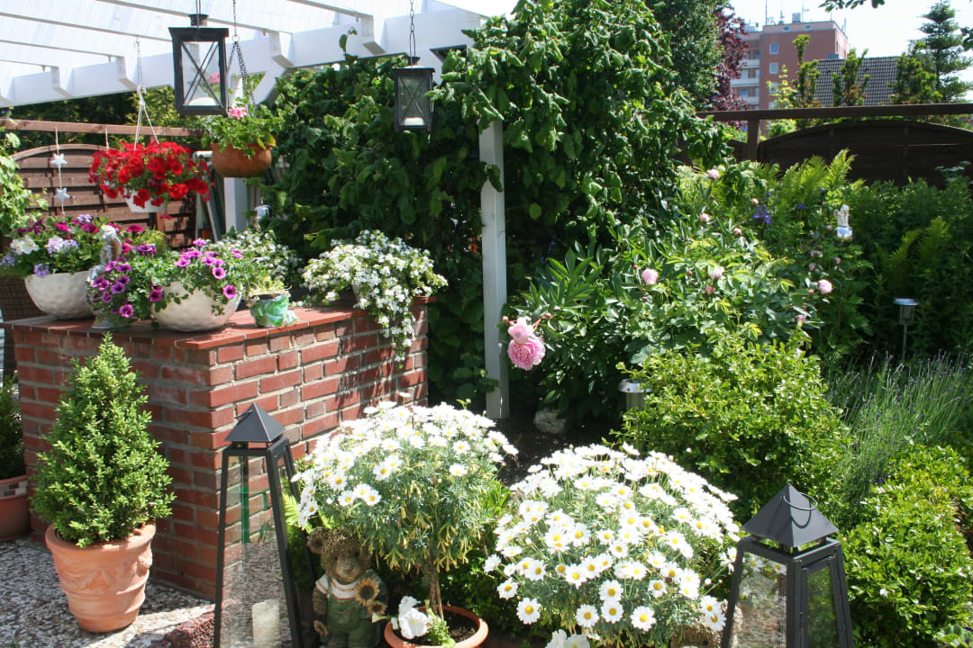 Blumen Gästehaus Wattenmeer
