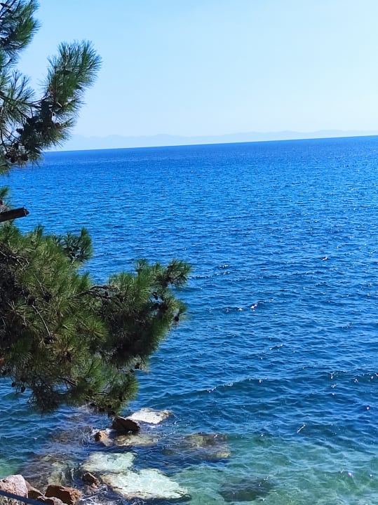 Ausblick Alexandra Beach Thassos Spa Resort
