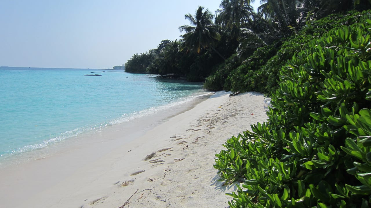 Traumstrand wie im Paradies Kuramathi Maldives
