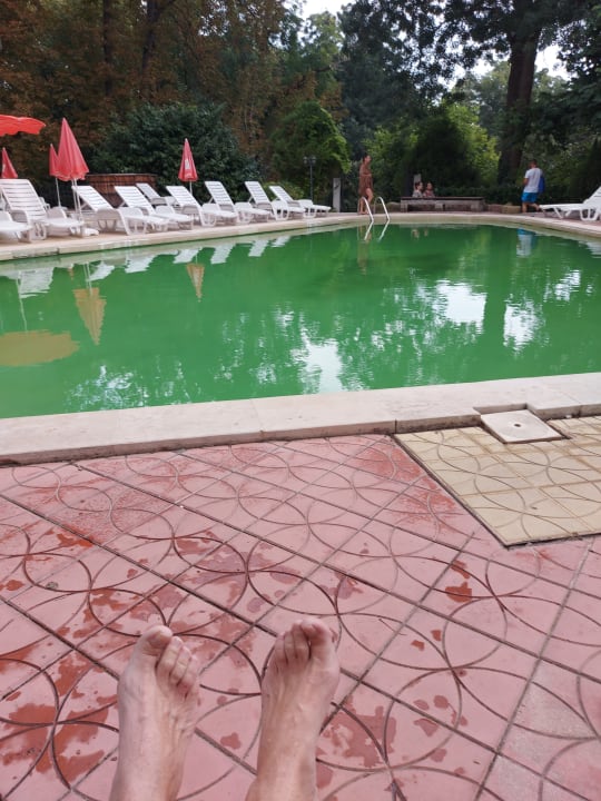 Pool Hotel Estreya Residence