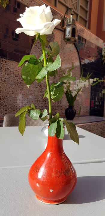 Sonstiges Hotel Diwane