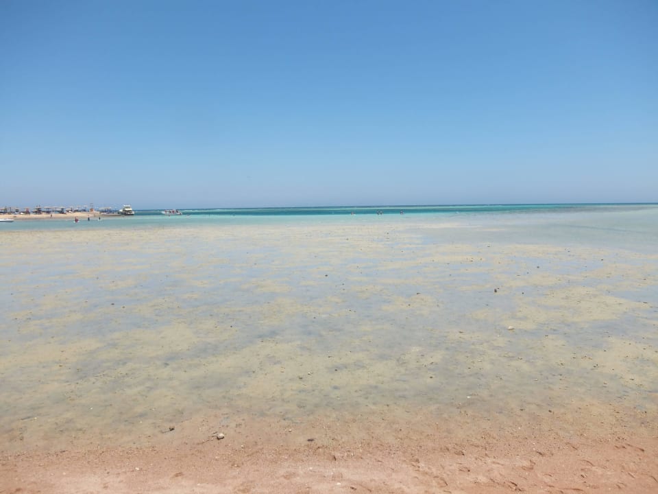 Ebbe Magic Beach Hotel Hurghada